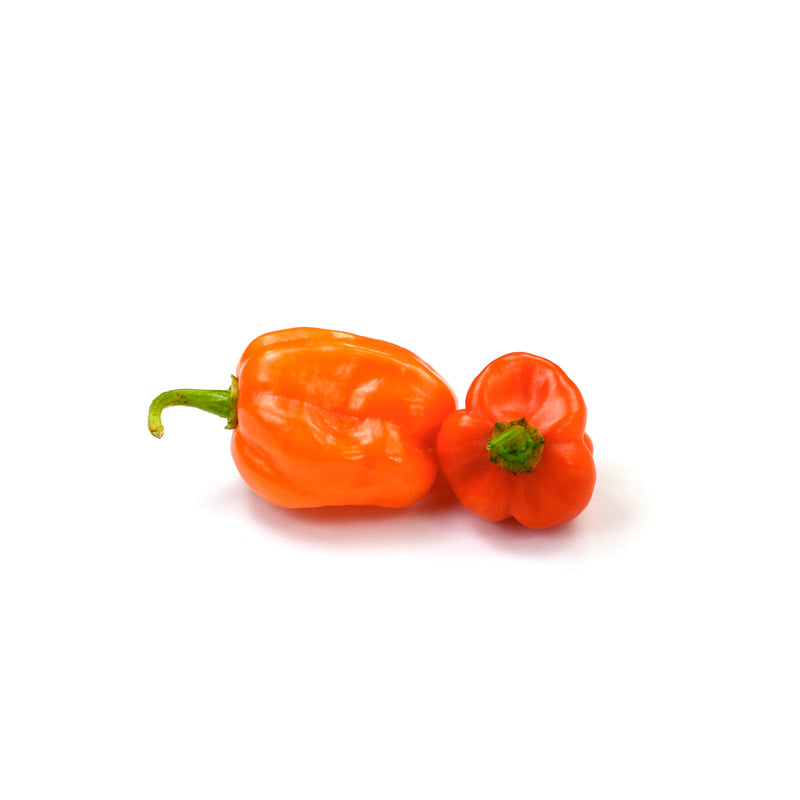 Chile Habanero 150 g