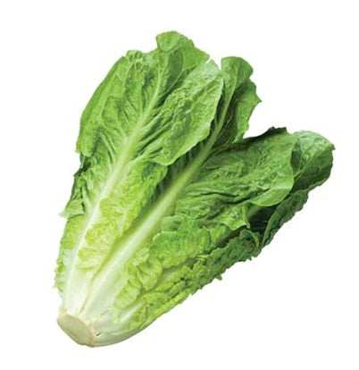 Lechuga Orejona 1 kg