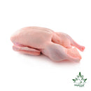 Pato Entero Maple Leaf 2.4 kg